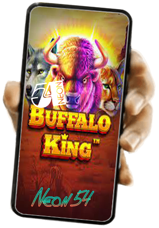 The Buffalo King Slot Review - Our Final Words