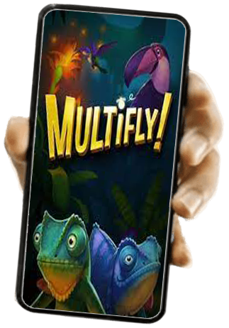 The Multifly Slot - Our Final Words & Verdict